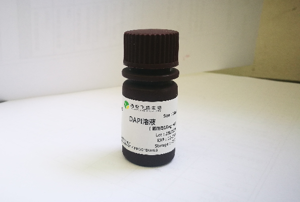 畫(huà)板 2-300.jpg